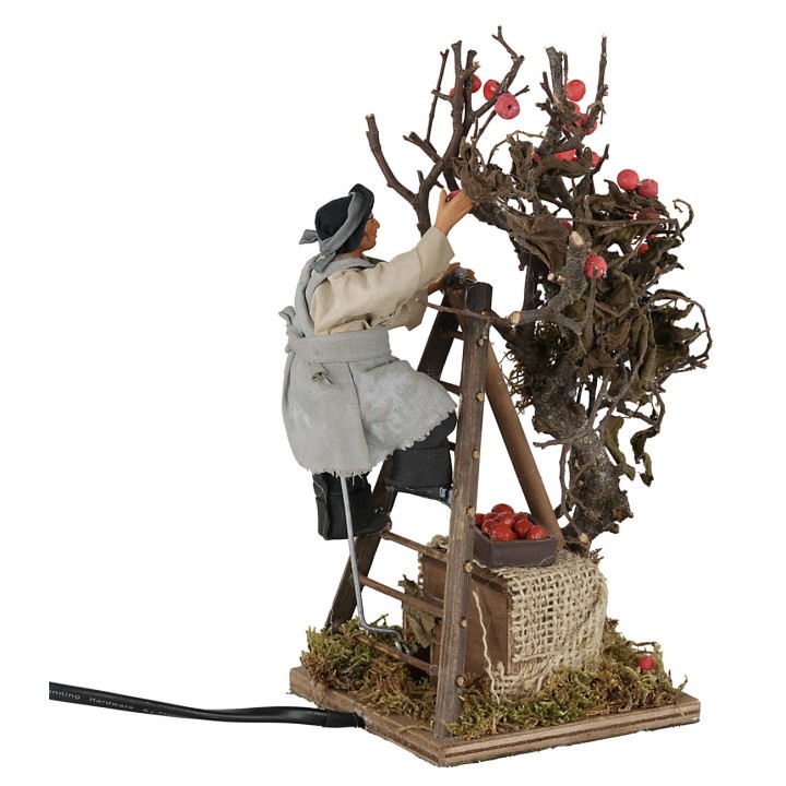 Apple picker on the move 12 cm