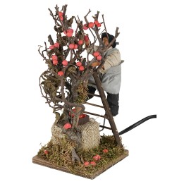 Apple picker on the move 12 cm