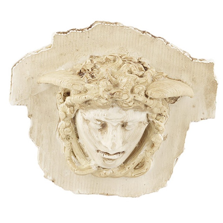 Medusa's Head 6 cm