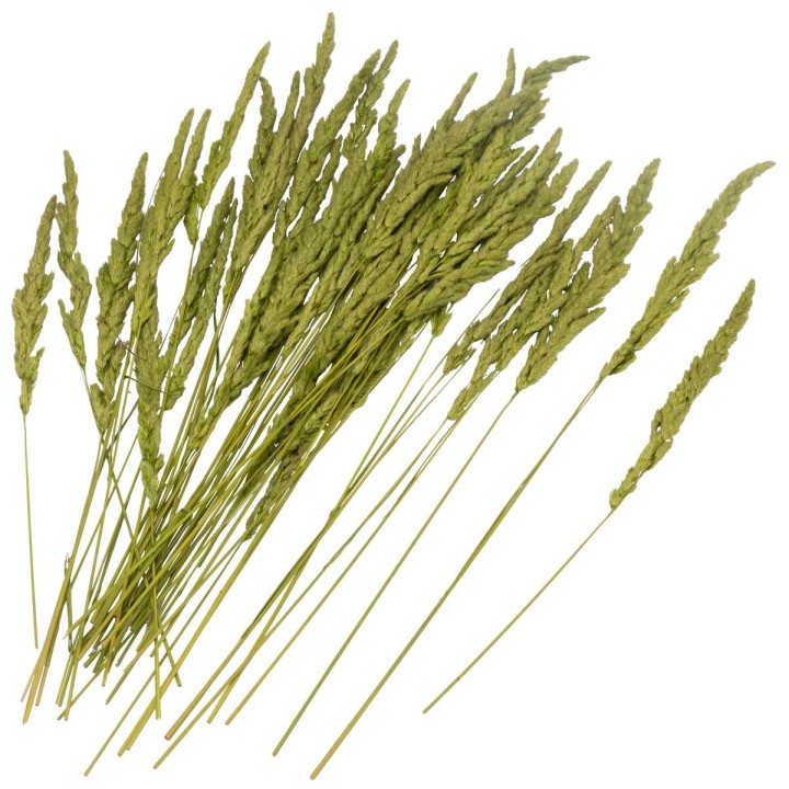 Erba Cristina 50 gr