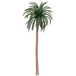 Palmera de injerto 17.5 cm