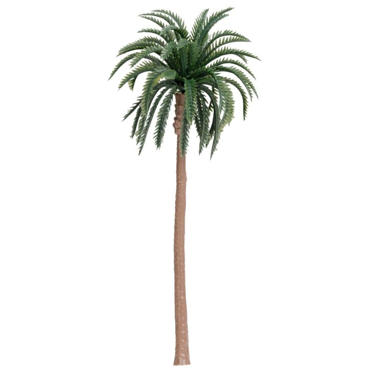 Grafted palm 17.5 cm