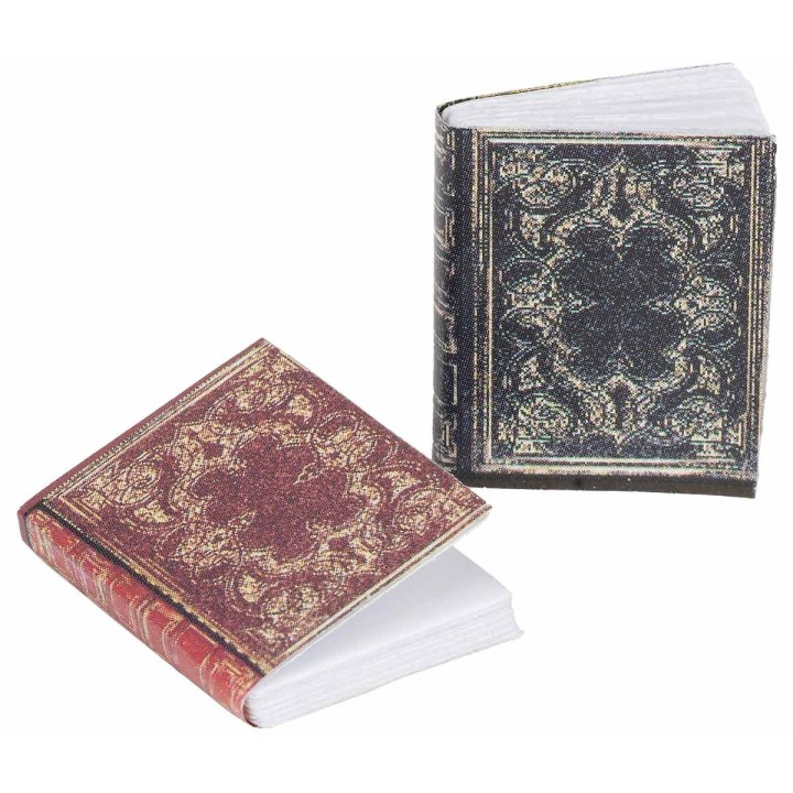 Set 2 libros cm 2 h