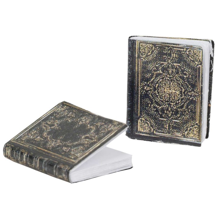 Set 2 libros cm 2 h