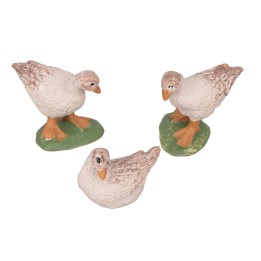 Set of 3 assorted ducks with base
