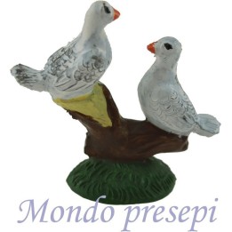 Coppia colombine