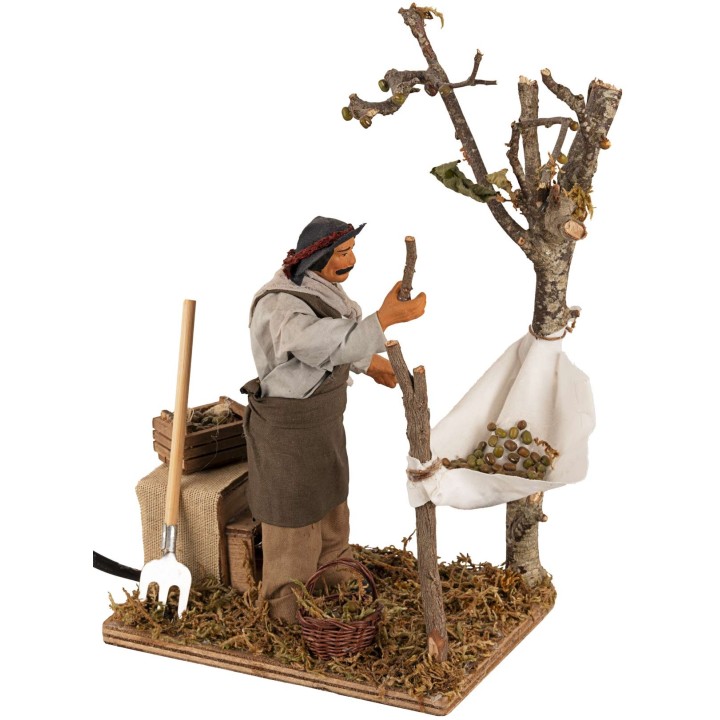 Hombre que recoge las aceitunas en movimiento serie 15 cm