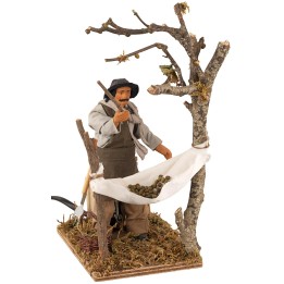 Uomo che raccoglie le olive in movimento serie 15 cm