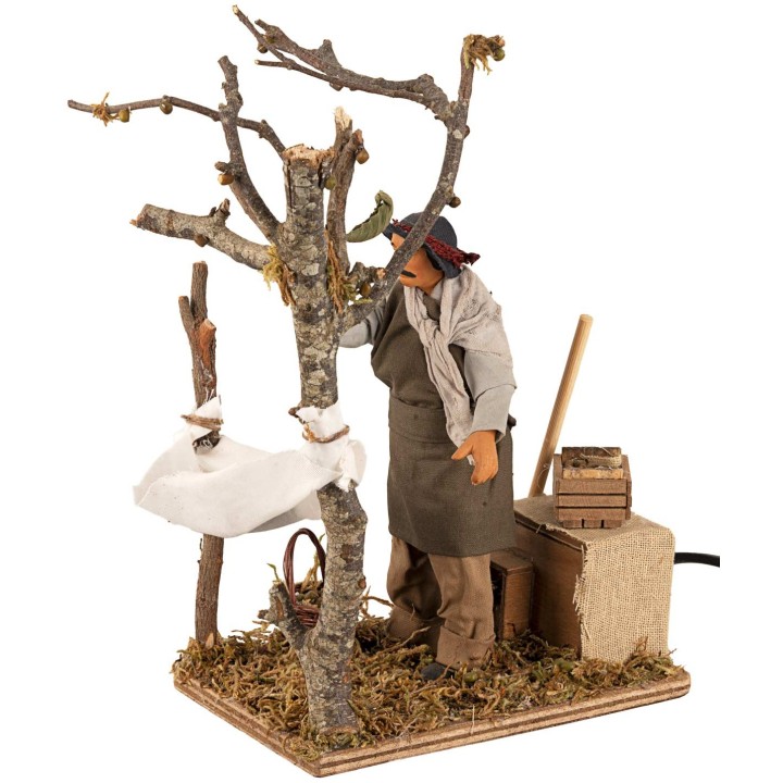 Hombre que recoge las aceitunas en movimiento serie 15 cm