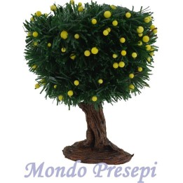 Pianta cm 14 limoni
