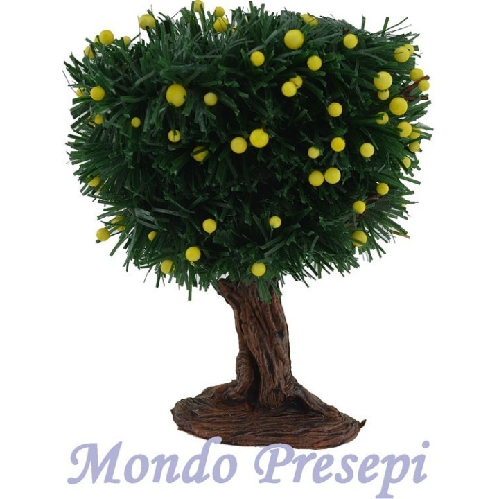 Plant cm 14 lemons