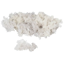 Available white lichen in bags: