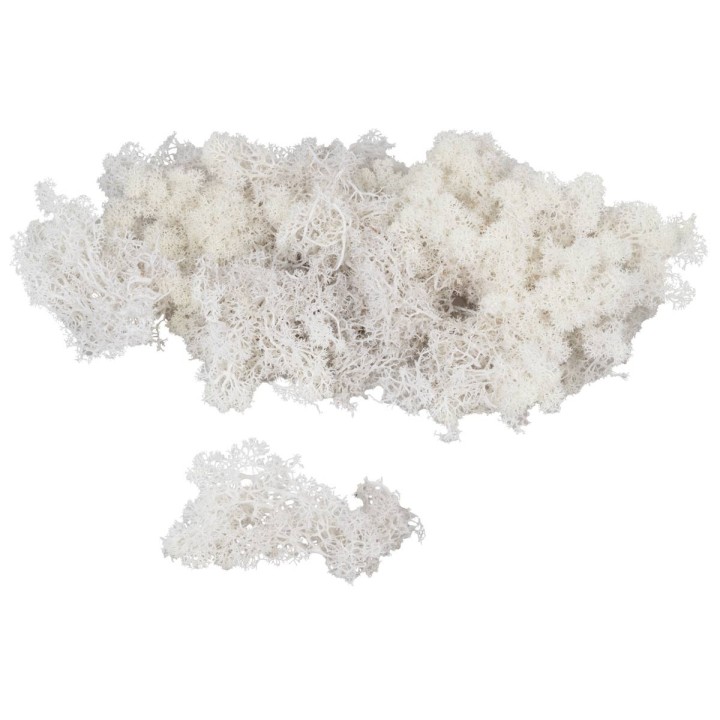 Lichene bianco disponibile in buste da: