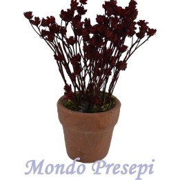 Vaso con fiori rossi