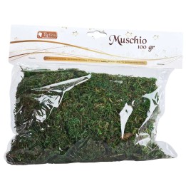 Muschio sempreverde in busta da 100 gr