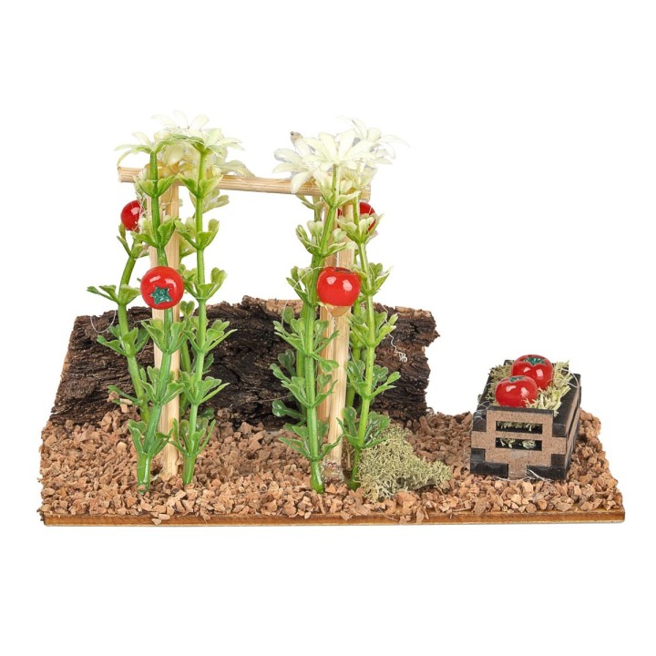 Tomato plants supported by a trellis cm 12x5x8.5 h