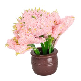 Ornamental plant with pink flowers in brown pot Ø1.5x5 cm