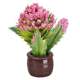 Pianta con fiori rosa scuro in vaso marrone cm Ø1,5x5 h