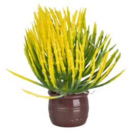 Plant with leaves and yellow flowers in brown pot Ø1.5x5 cm