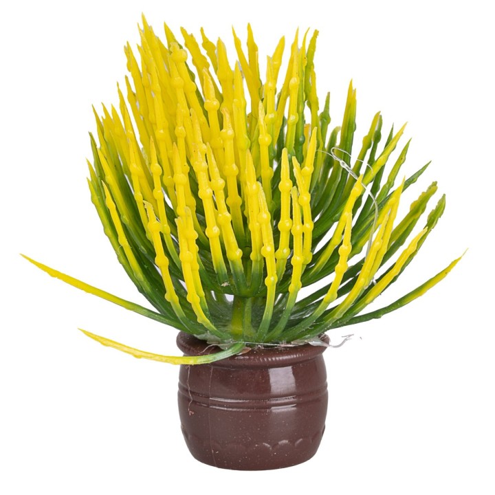Planta con hojas y flores amarillas en maceta marrón Ø1,5x5 cm