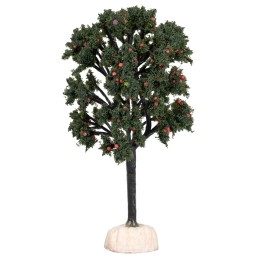 Apple tree height 14.5 cm