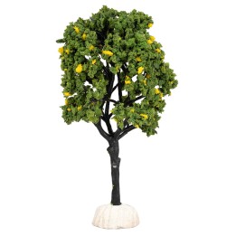 Albero di limoni altezza 15 cm