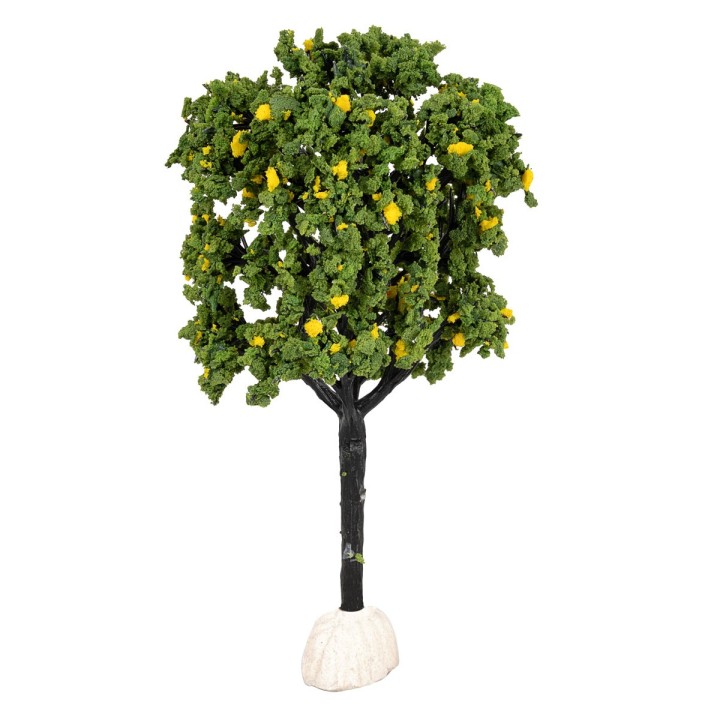 Albero di limoni altezza 15 cm