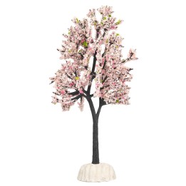 Árbol de almendro altura 15 cm