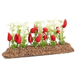 Orto di peperoni 6 cm