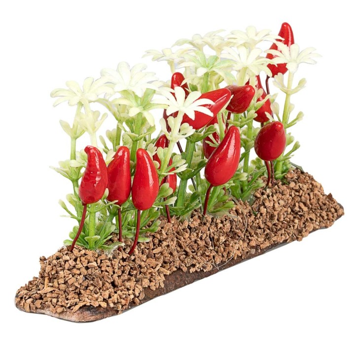 Huerto de pimientos 6 cm