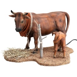 Mucca con vitello serie 30 cm in movimento
