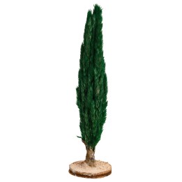 Albero di cipresso h 15 cm
