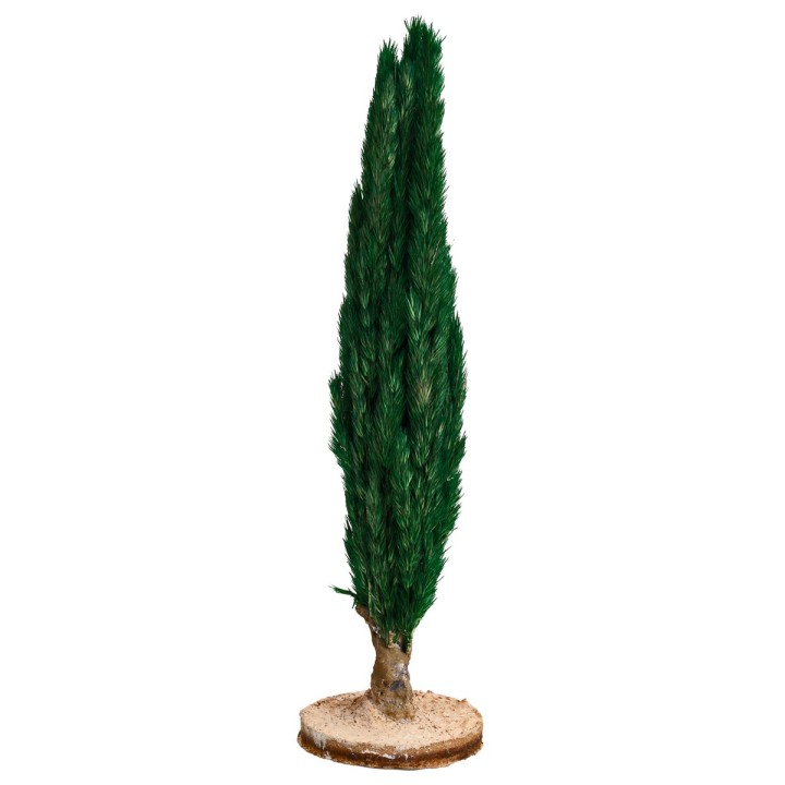 Albero di cipresso h 15 cm