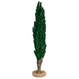 Albero di cipresso h 20 cm