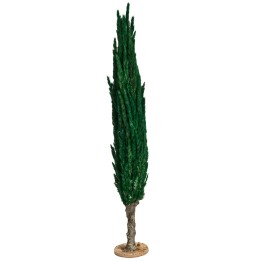 30 cm h cypress tree