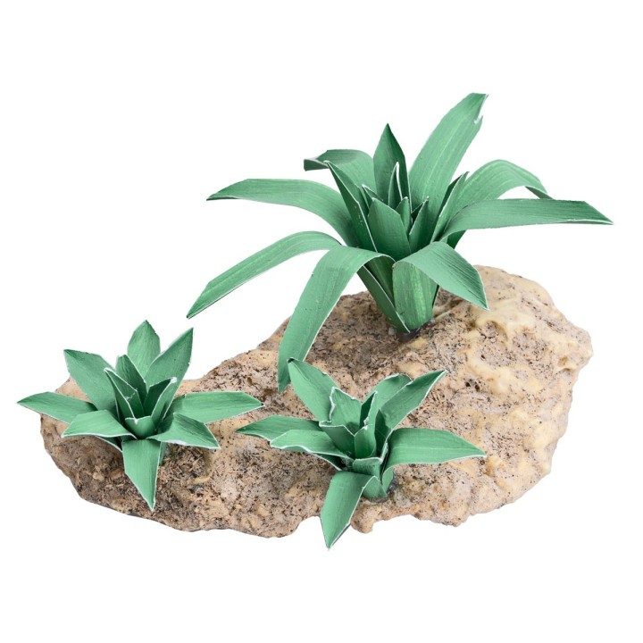 Gruppo di tre Agavi modellabili h 4,4 cm