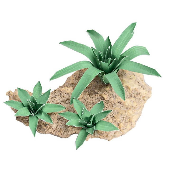 Grupo de tres Agaves modelables h 4,4 cm