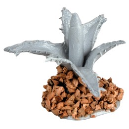 Agave piccola cm 3