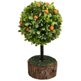 Orange tree with base height 12 cm