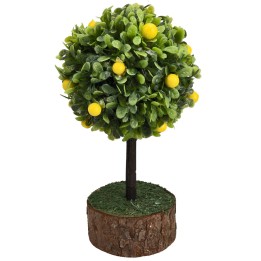 Pianta limoni h 12 cm