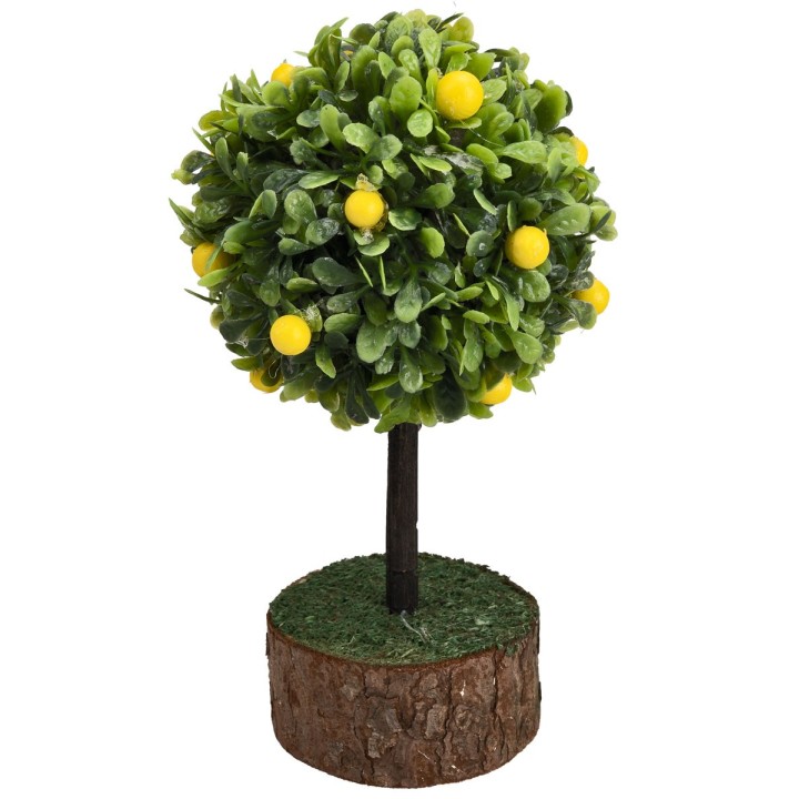Pianta limoni h 12 cm