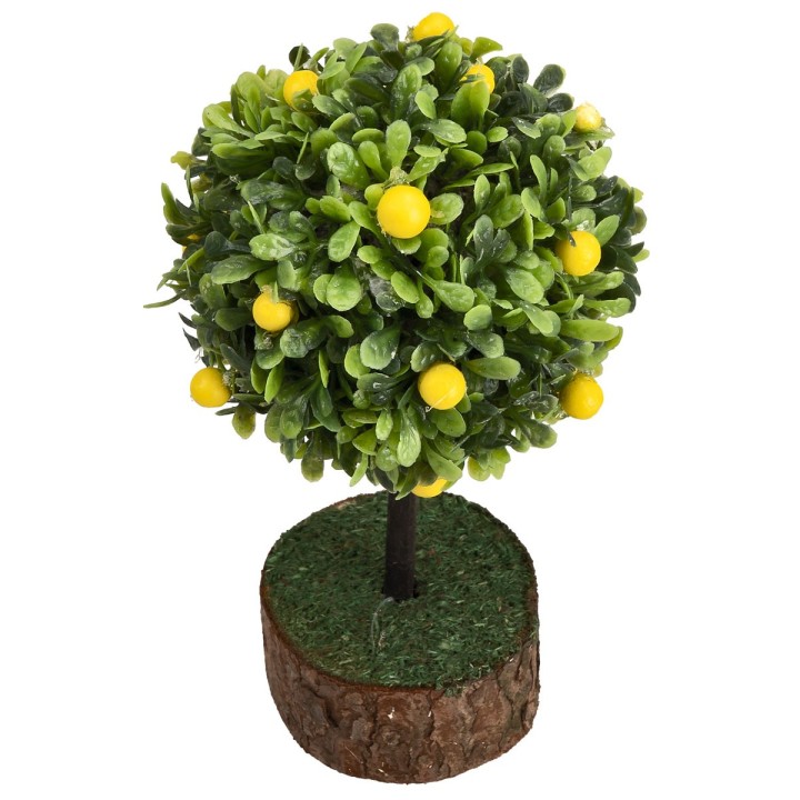 Pianta limoni h 12 cm