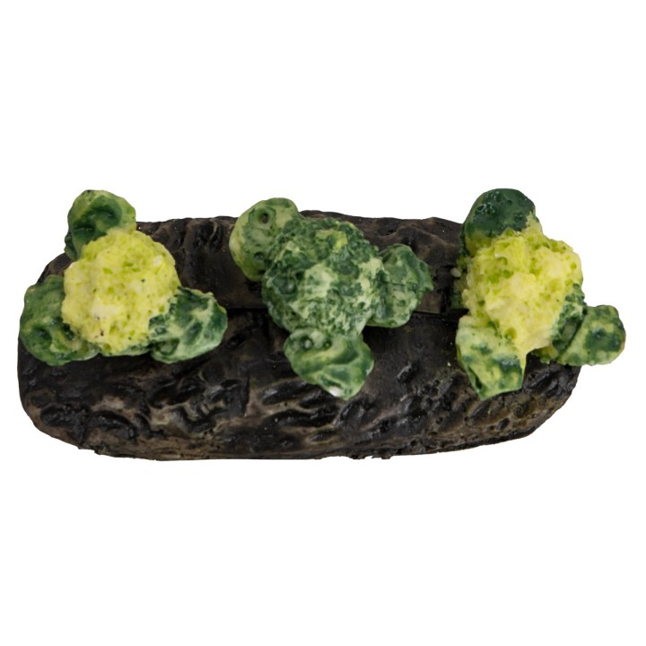 Orticello con cavolfiori