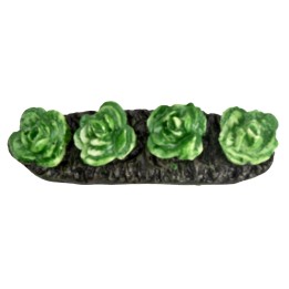 Little garden with lettuce