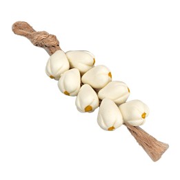 Ceppo d'aglio cm 5