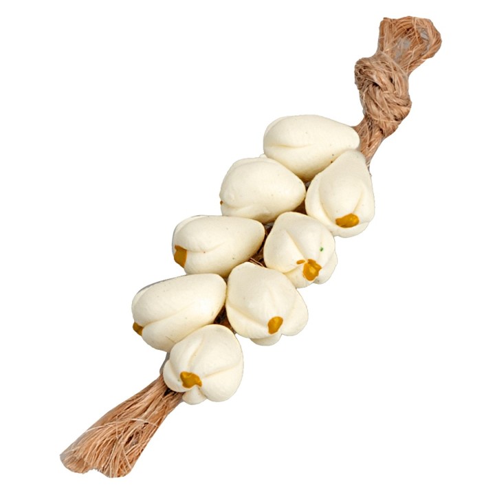 Ceppo d'aglio cm 5