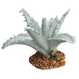 Agave cm 3