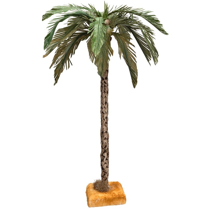 30 cm Palm