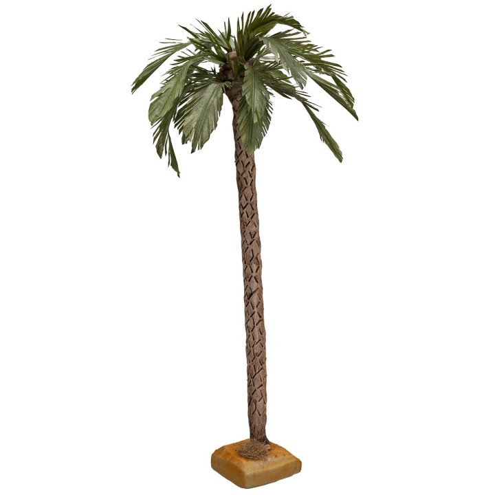 38-40 cm Palm