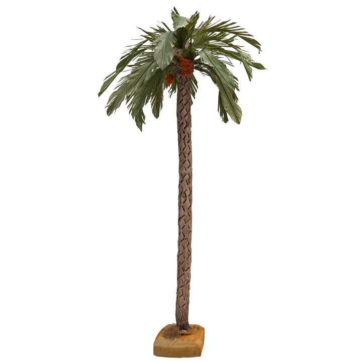 Palma 38-40 cm